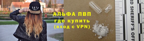 стаф Осташков