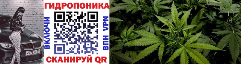 mega сайт  Кола  Конопля конопля  где купить наркоту 
